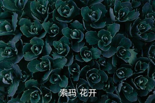 索玛 花开