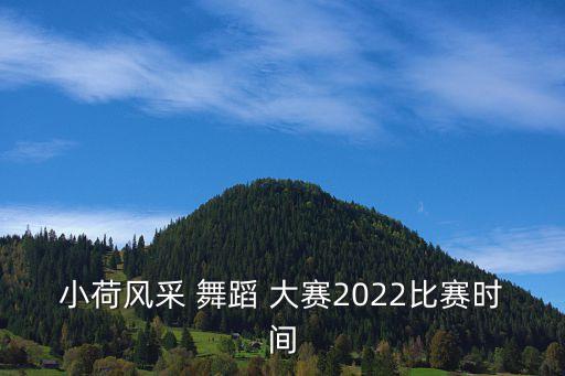 小荷风采 舞蹈 大赛2022比赛时间
