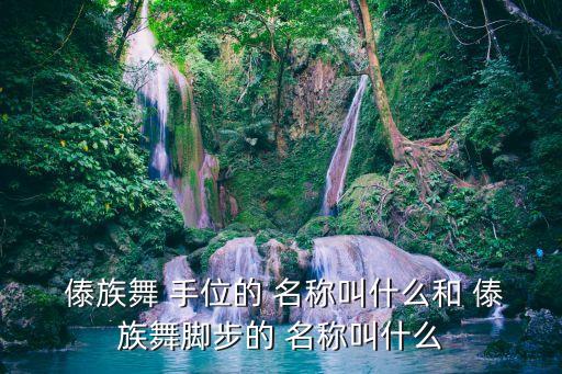  傣族舞 手位的 名称叫什么和 傣族舞脚步的 名称叫什么