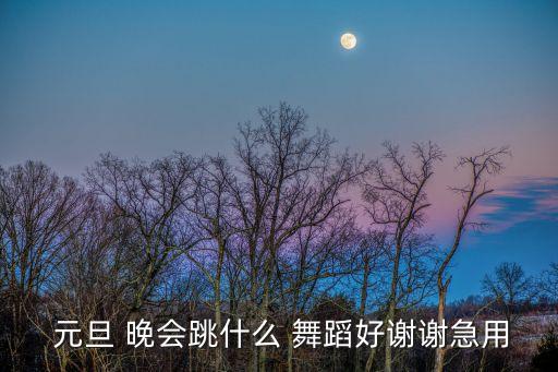  元旦 晚会跳什么 舞蹈好谢谢急用