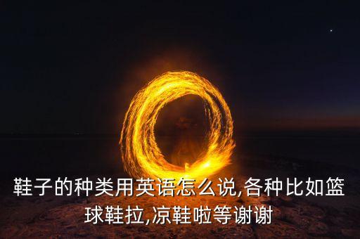 鞋子的种类用英语怎么说,各种比如篮球鞋拉,凉鞋啦等谢谢