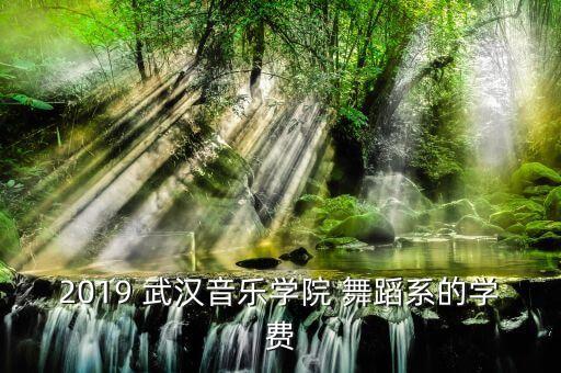 武汉 舞蹈学校,武汉音乐学院前身是中南艺术学院校