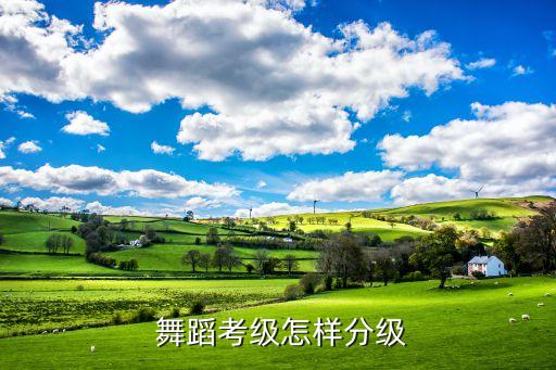 七级民族舞蹈,全国唯一中国民族民间舞等级考试与评定机构