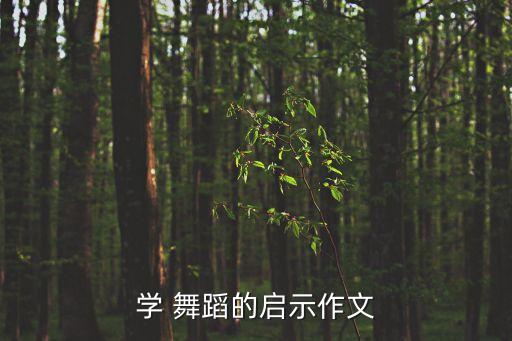 宝鸡小舞星舞蹈学校,舞蹈是启发性作文