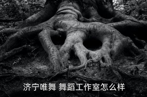  济宁唯舞 舞蹈工作室怎么样