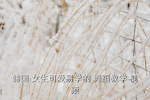 韩国 女生可爱易学的 舞蹈教学 视频