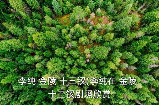 李纯 金陵 十三钗(李纯在 金陵 十三钗剧照欣赏