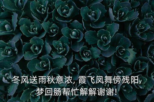 霞飞舞蹈,第二集:晨光|纸上风云:你为何不和公牛一起跑