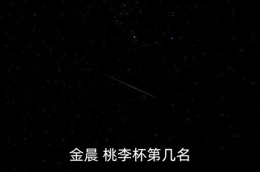 金晨 桃李杯第几名
