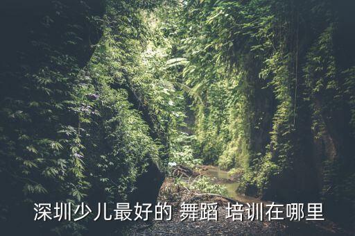  深圳少儿最好的 舞蹈 培训在哪里