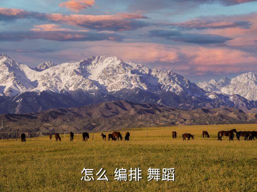 编排舞蹈感受,舞林大会:我受益匪浅!