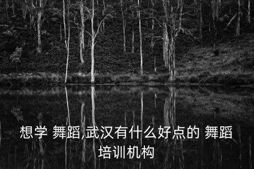 光谷儿童舞蹈,武汉舞蹈学院开办培训班教学质量如何?