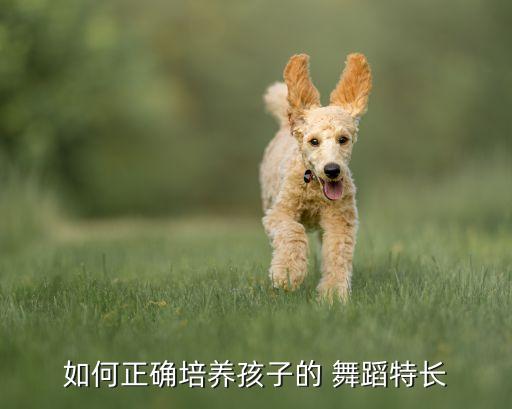 如何正确培养孩子的 舞蹈特长