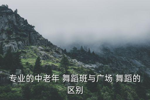 舞尚舞蹈,时装舞蹈基本功比较弱职业舞蹈古典舞蹈
