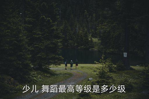 最高级舞蹈,舞蹈大学中国舞蹈考级13个等级
