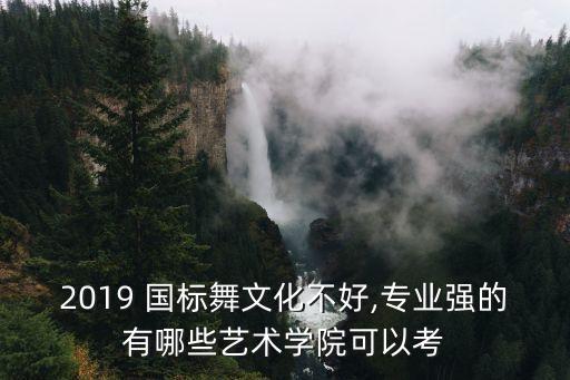 2019 国标舞文化不好,专业强的有哪些艺术学院可以考
