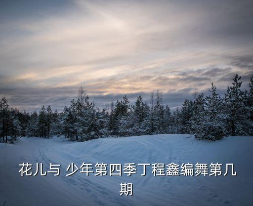  花儿与 少年第四季丁程鑫编舞第几期