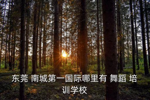 东莞 南城第一国际哪里有 舞蹈 培训学校