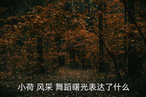  小荷 风采 舞蹈曙光表达了什么
