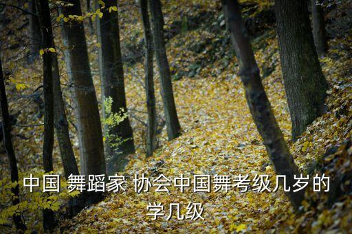 中国舞蹈协会三级4,中国舞蹈协会什么年龄都可以考