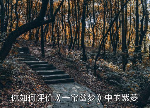 紫菱洲歌舞蹈,《梦的另一幕》改编电视剧《紫菱》饰演女舞者