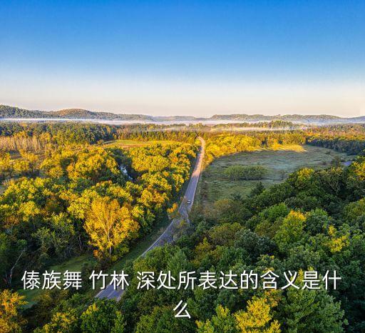 傣族舞 竹林 深处所表达的含义是什么
