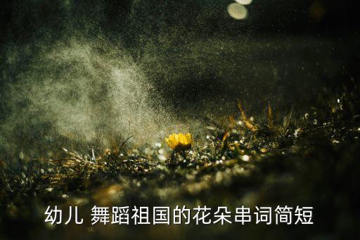 儿童舞蹈花儿像太阳,第二集:我国是祖国的花朵