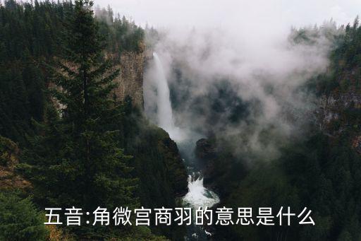 宫商角徵羽舞蹈介绍,第二集:魏娇宫尚语的发音是什么?