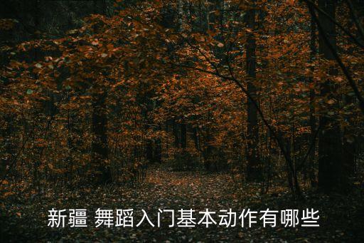  新疆 舞蹈入门基本动作有哪些