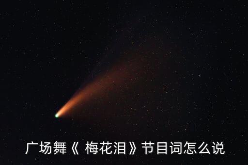 百度广场舞蹈梅花泪,雪中飞舞梅花泪"广场舞