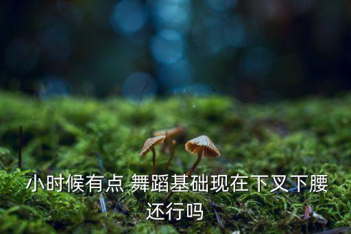  小时候有点 舞蹈基础现在下叉下腰还行吗