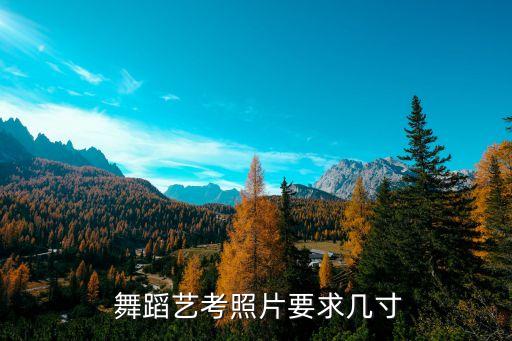  舞蹈艺考照片要求几寸