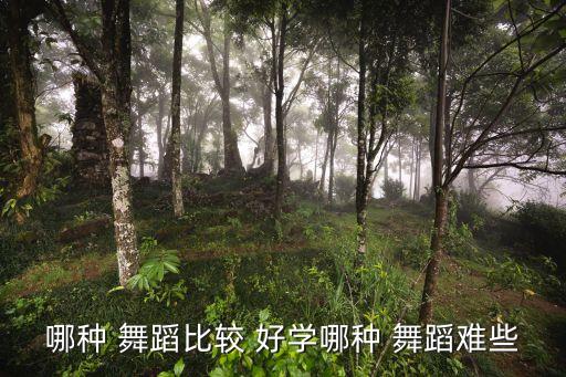 哪种 舞蹈比较 好学哪种 舞蹈难些