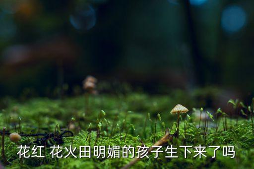 花红 花火田明媚的孩子生下来了吗