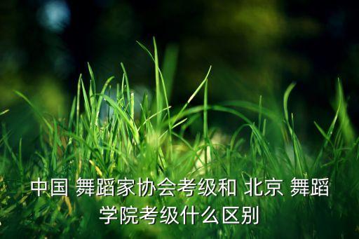中国 舞蹈家协会考级和 北京 舞蹈学院考级什么区别
