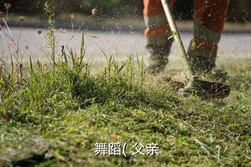  舞蹈( 父亲