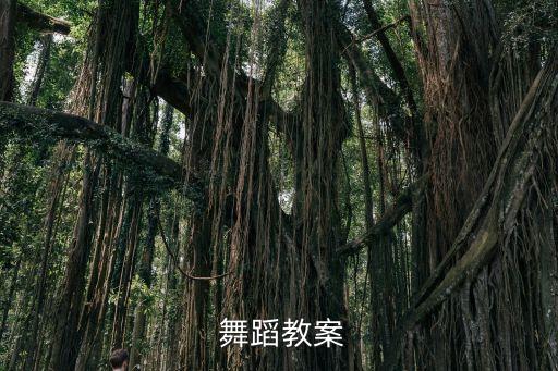 快乐的小灵鼓舞蹈视频,舞蹈学习（一）