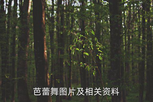 芭蕾舞图片及相关资料