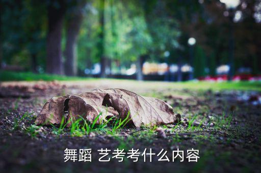 舞蹈艺考即兴舞蹈视频,舞蹈艺考:考生能否学到基本舞蹈知识?
