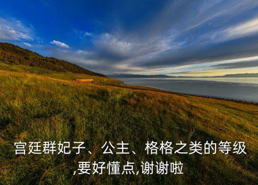 宫廷群妃子、公主、格格之类的等级,要好懂点,谢谢啦