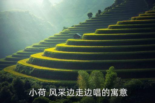 小荷风采幼儿舞蹈歌曲,小荷风采系列报舞蹈《边走边唱