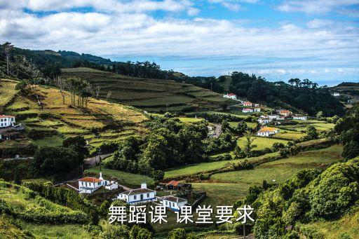  舞蹈课 课堂要求