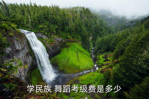 宝山哪里可以学舞蹈,上海哪里有新疆舞蹈学校附近就有舞者!