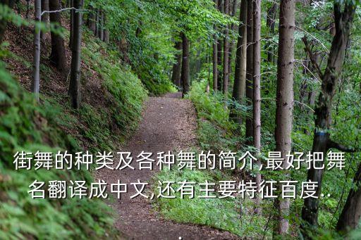 街舞的种类及各种舞的简介,最好把舞名翻译成中文,还有主要特征百度...