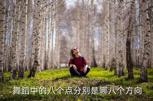 有点儿意思的舞蹈教学,有点儿可做主语和谓语