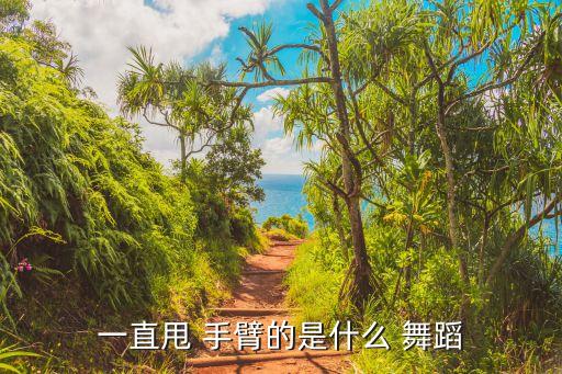 手臂舞蹈动作,投掷舞蹈简单易学手臂力量训练