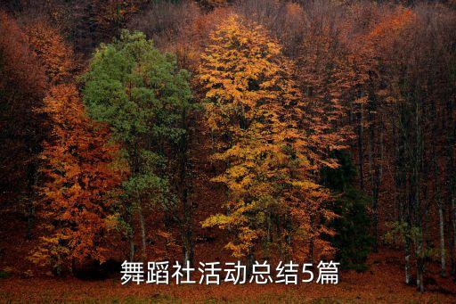 舞蹈队形咨询,舞蹈5社交活动总结