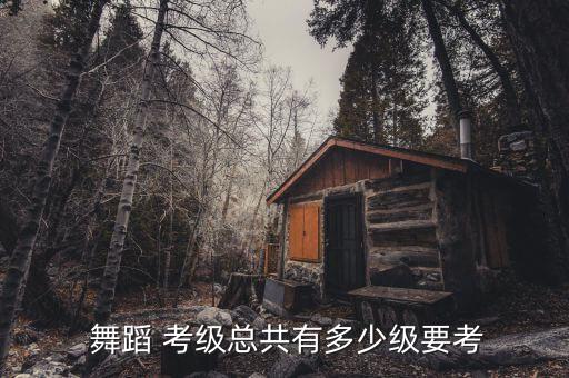  舞蹈 考级总共有多少级要考