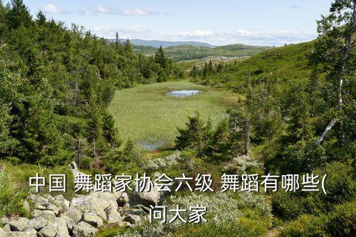 中国 舞蹈家协会六级 舞蹈有哪些(问大家