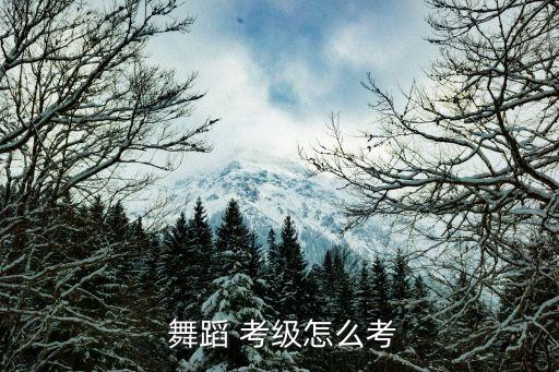  舞蹈 考级怎么考